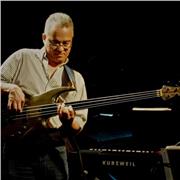 Músico e Professor de Música com Nível Universitário